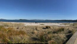 petone-waterfront-for-our-story A day by the sea is a great break