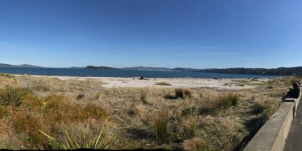 petone-waterfront-for-our-story A day by the sea is a great break